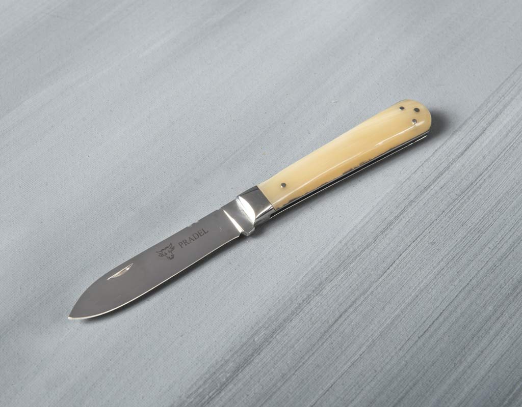 Laguiole en Aubrac Pradel